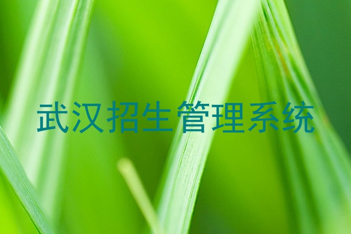武汉招生管理系统