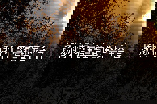 扬州招生管理平台
