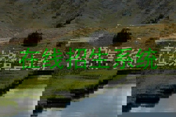 在线招生系统