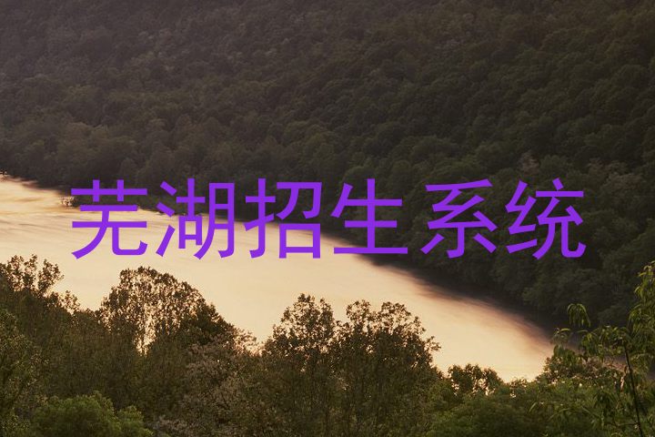 芜湖招生系统