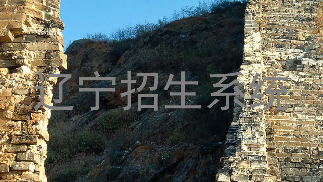 辽宁招生系统