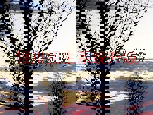 银川招生系统升级