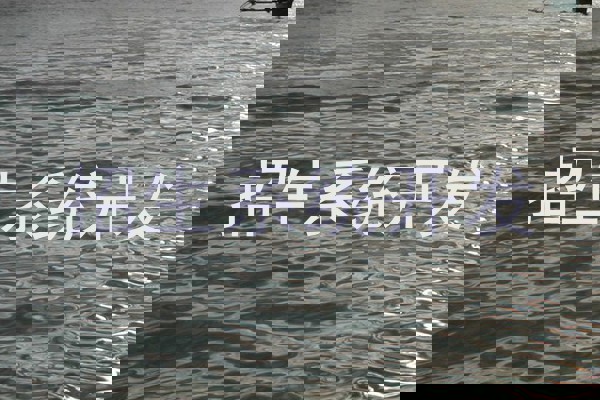 招生系统开发