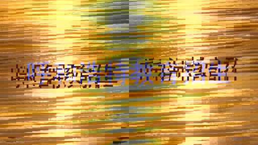 呼和浩特教育招生
