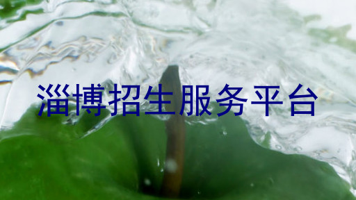 淄博招生服务平台