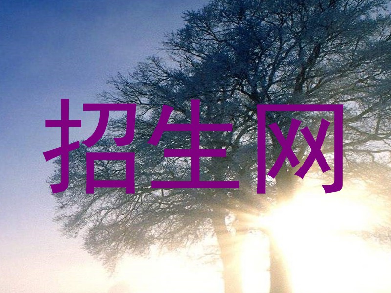 招生网