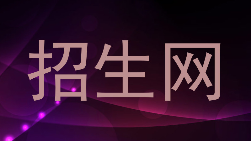 招生网