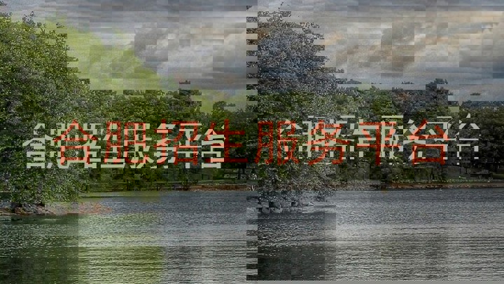 合肥招生服务平台