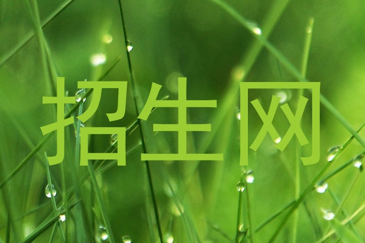 招生网