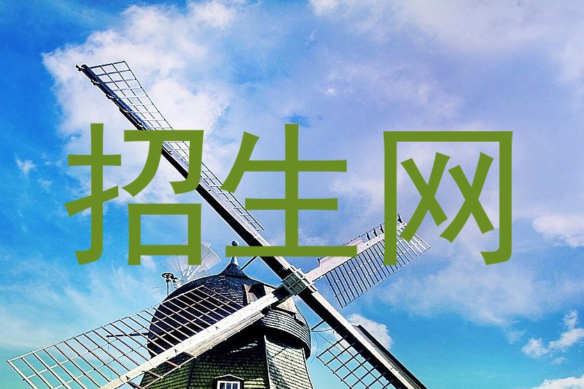 招生网
