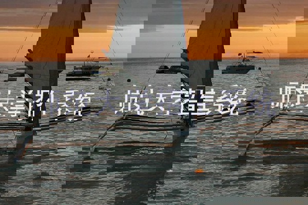 师范大学招生系统