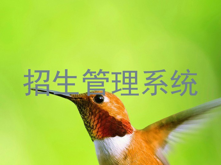 招生管理系统