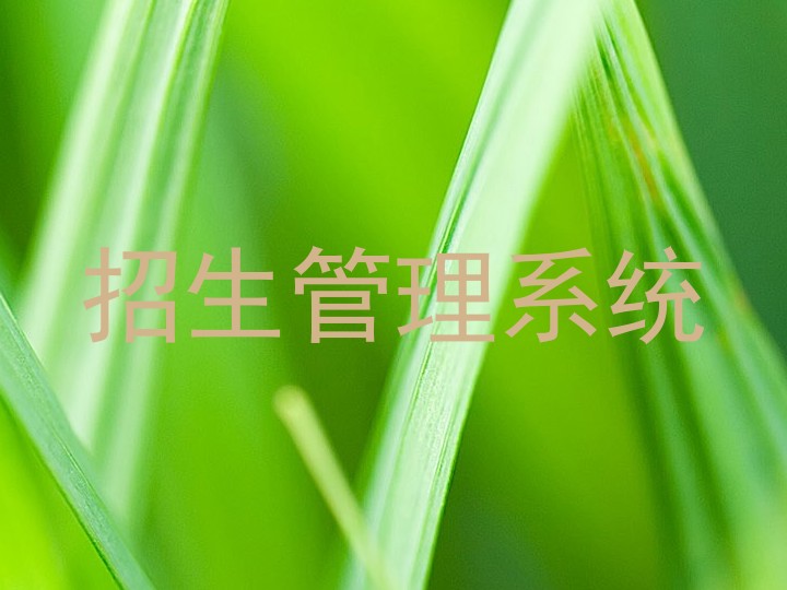 招生管理系统