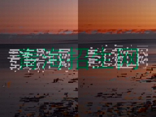 青海招生网