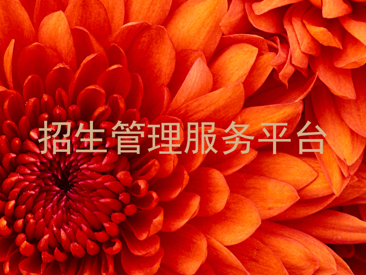 招生管理服务平台