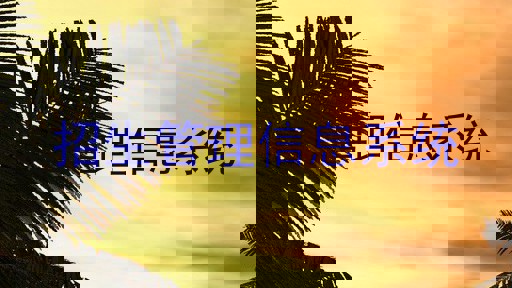 招生管理信息系统