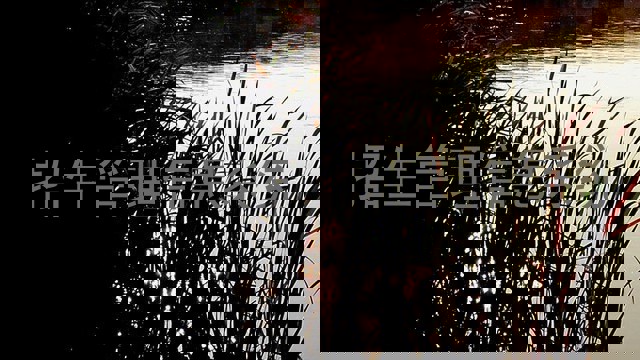 招生管理信息系统