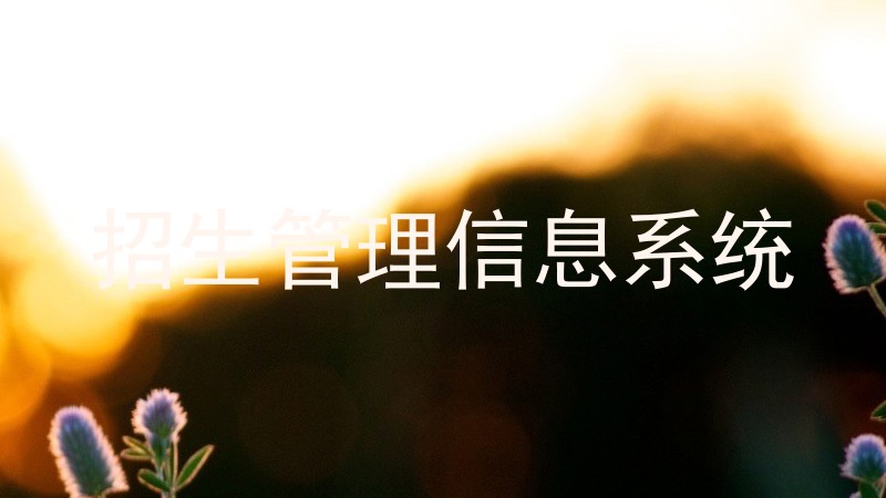 招生管理信息系统