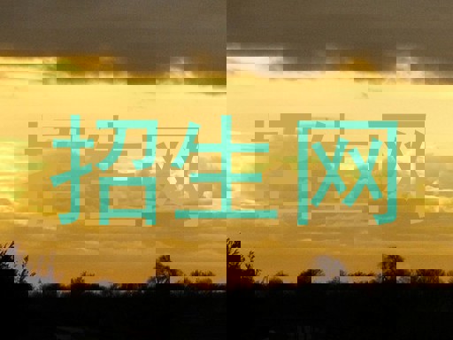 招生网
