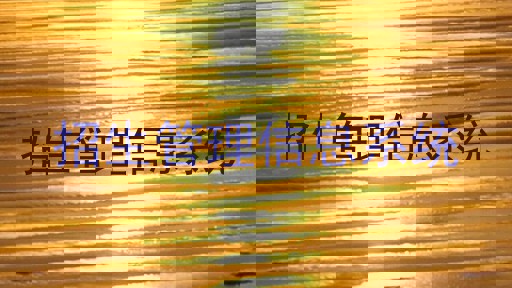 招生管理信息系统