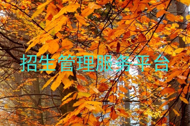 招生管理服务平台