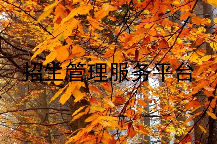 招生管理服务平台