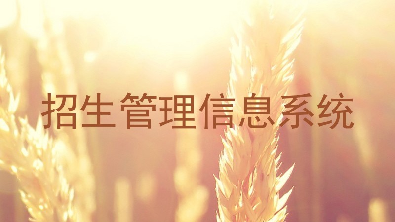 招生管理信息系统