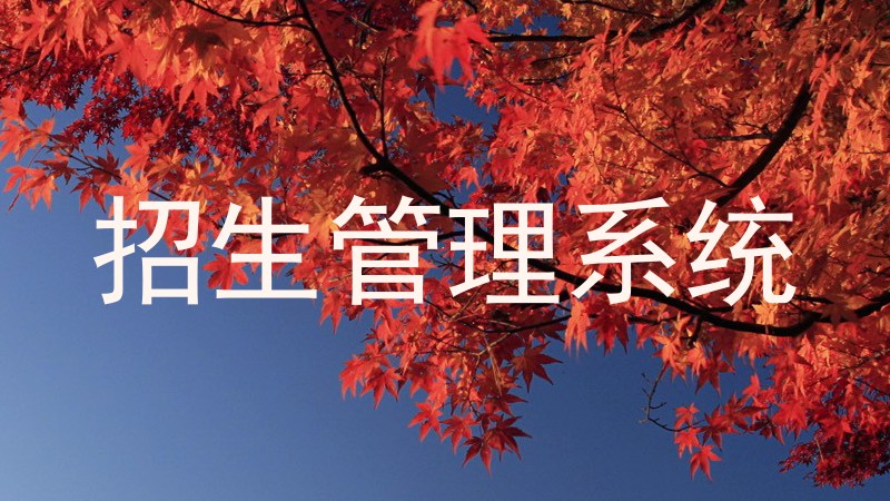 招生管理系统
