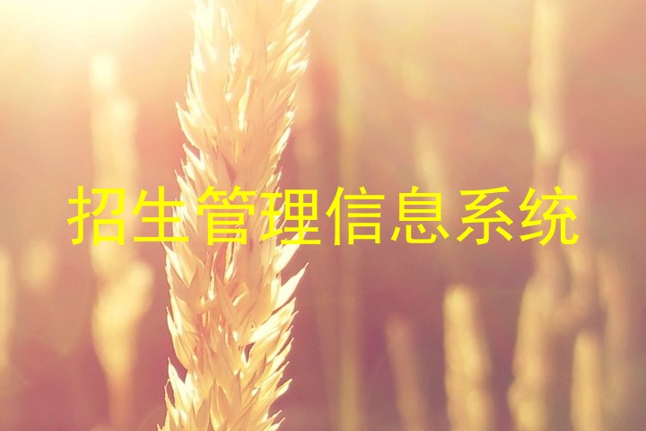 招生管理信息系统