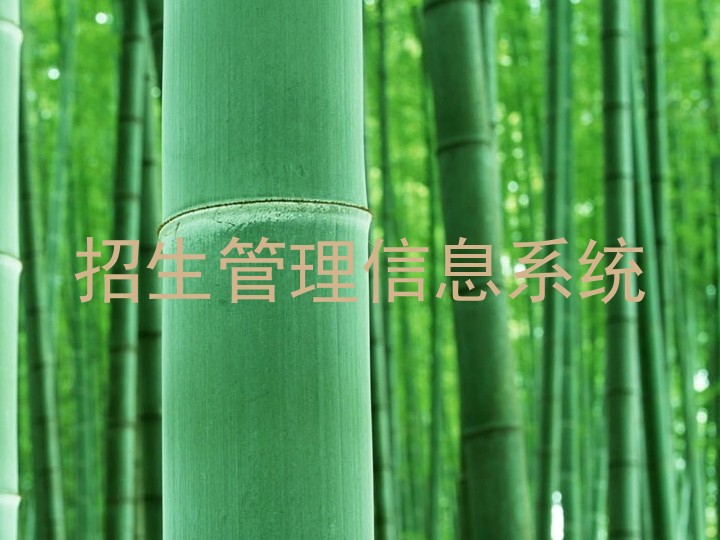 招生管理信息系统