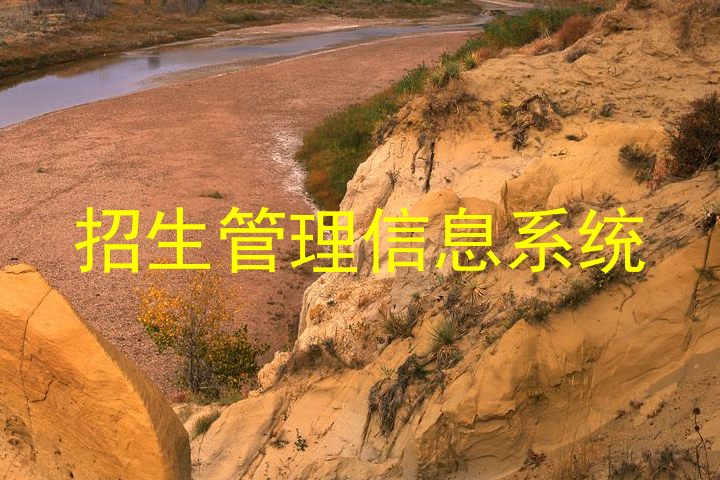 招生管理信息系统