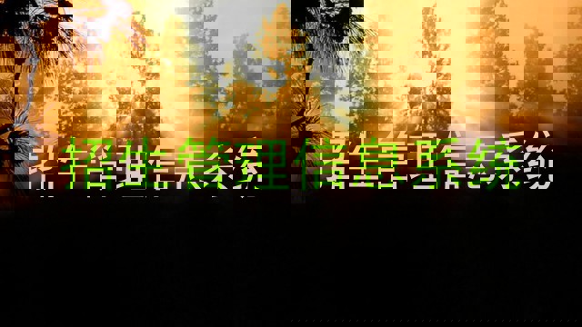 招生管理信息系统