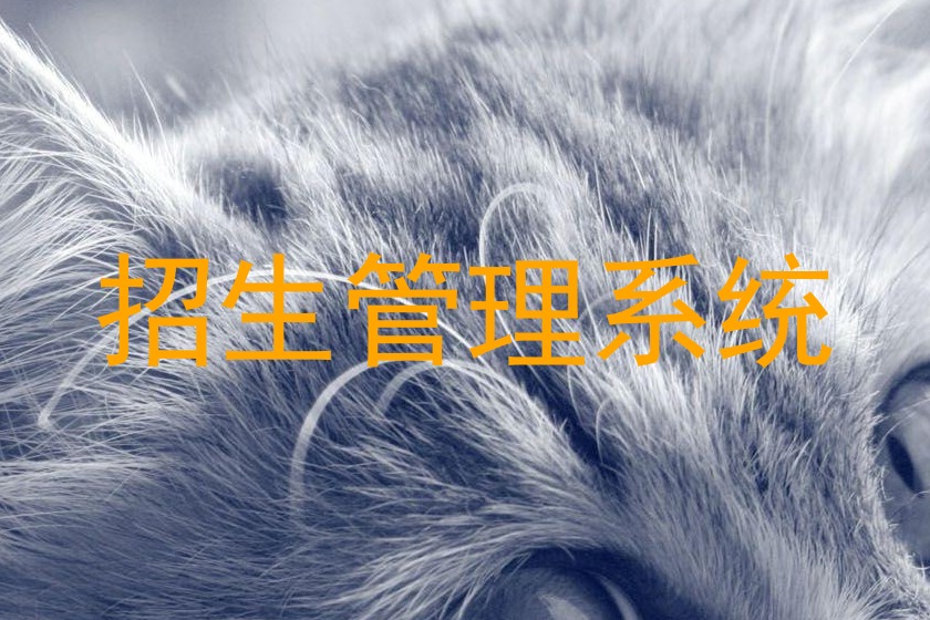 招生管理系统