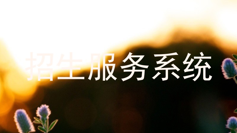 招生服务系统