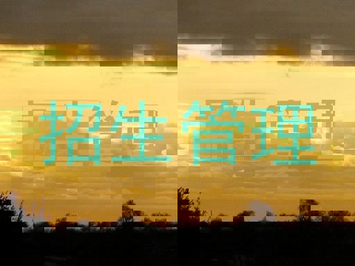 招生管理