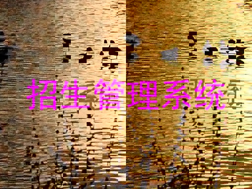 招生管理系统