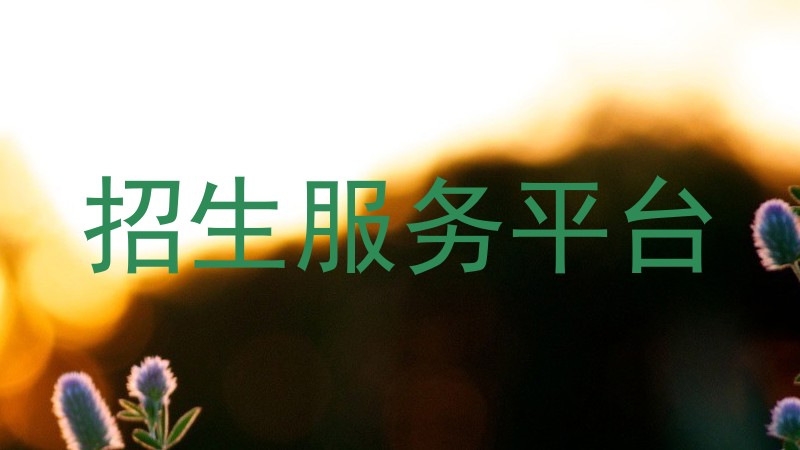 招生服务平台