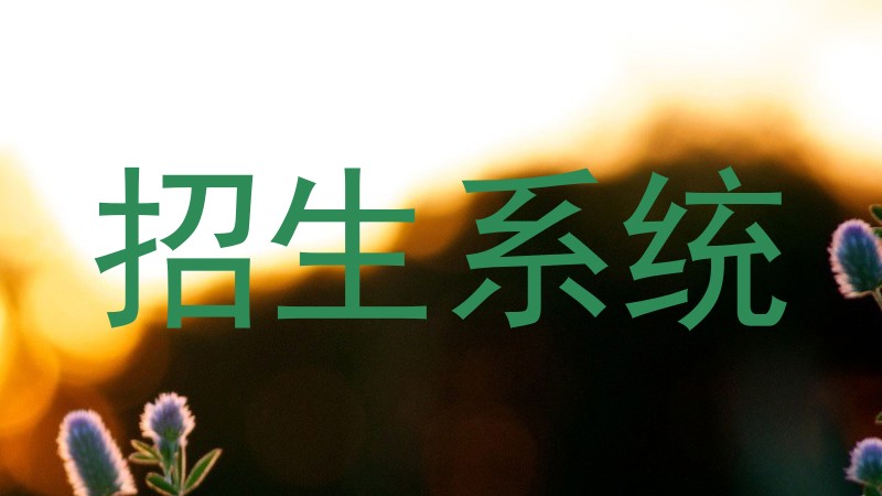 招生系统