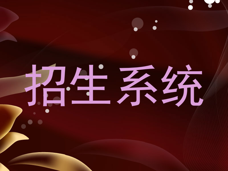 招生系统