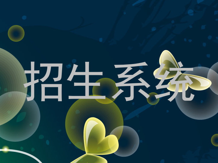 招生系统