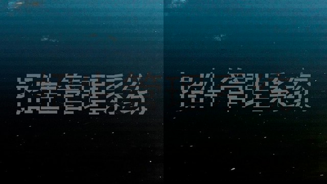 招生管理系统