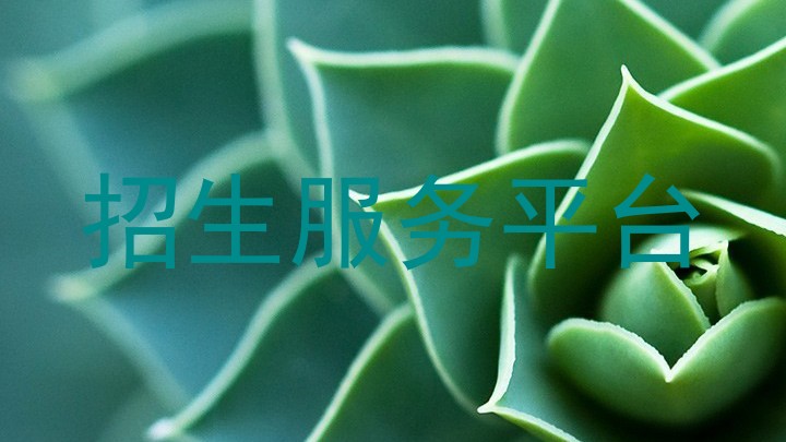 招生服务平台