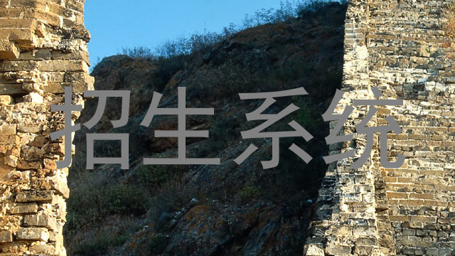 招生系统