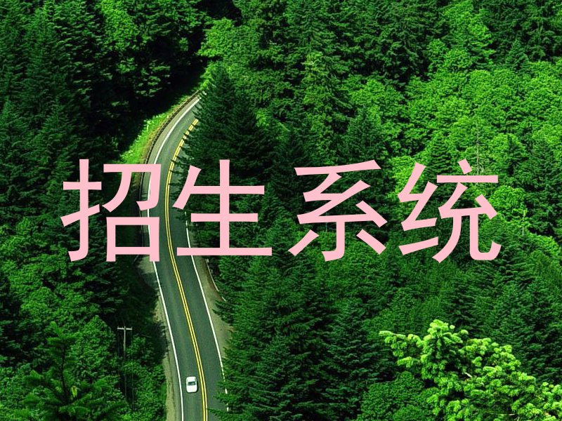 招生系统
