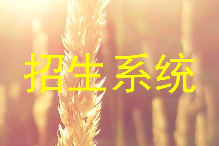 招生系统