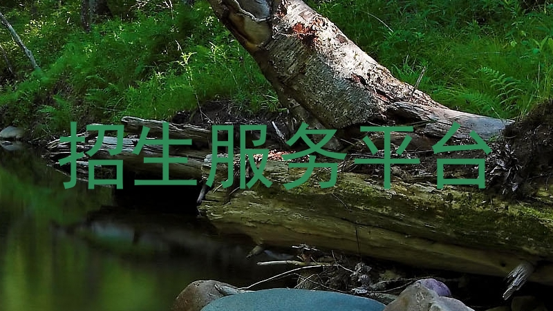 招生服务平台