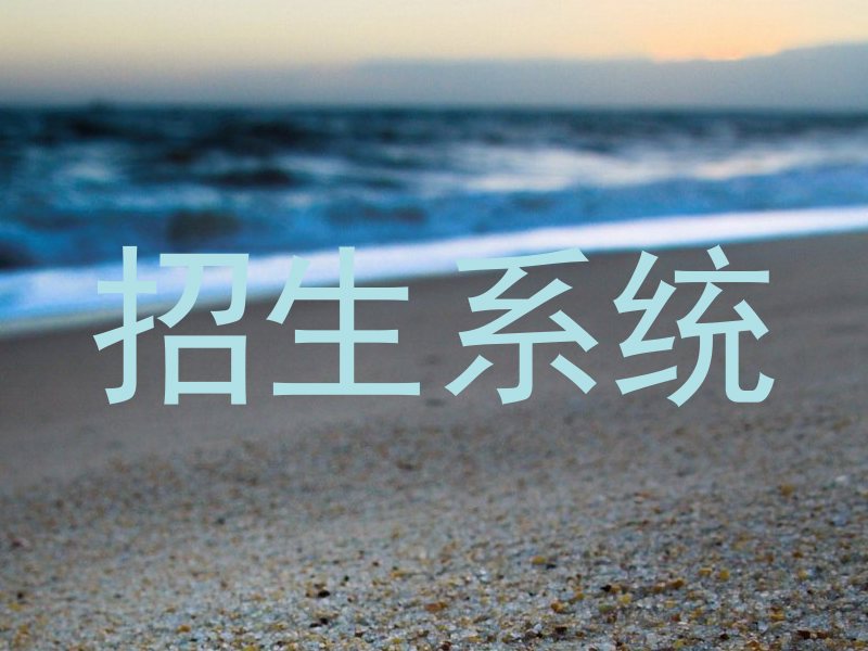 招生系统
