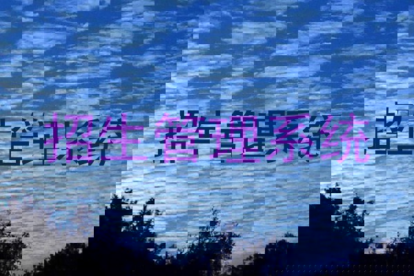 招生管理系统