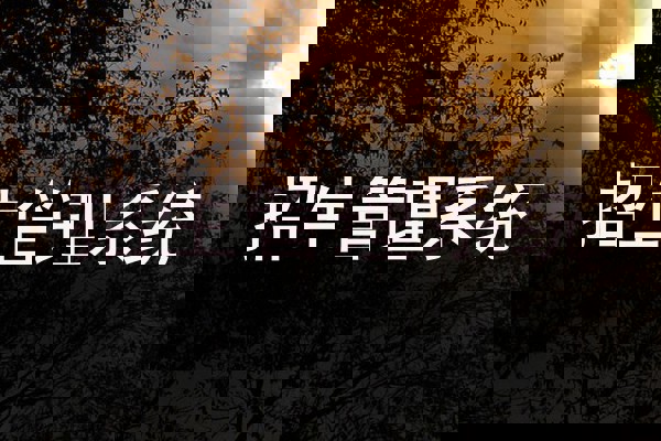 招生管理系统