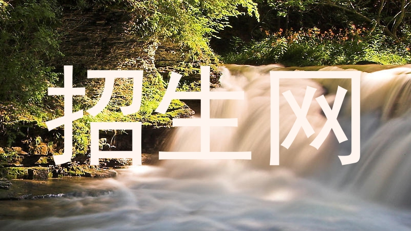 招生网